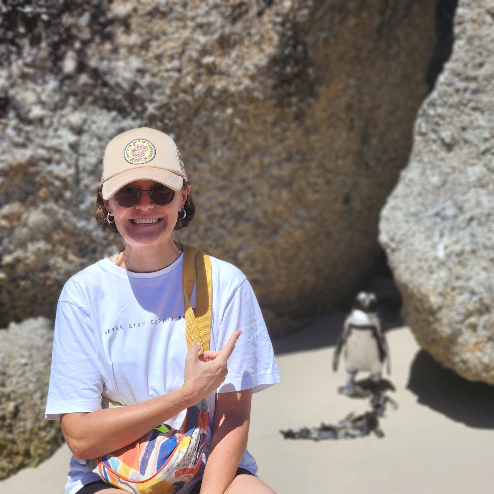 Boulders Beach Penguins